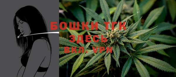 гашик Абаза